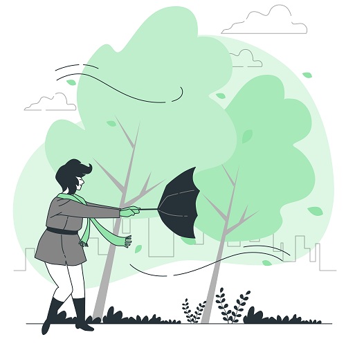 Tháng 2 mua xe ngày nào tốt? Cách loại ngày xấu kỵ bản mệnh 2 NGAY DEP THANG 1 DE MUA XE 3